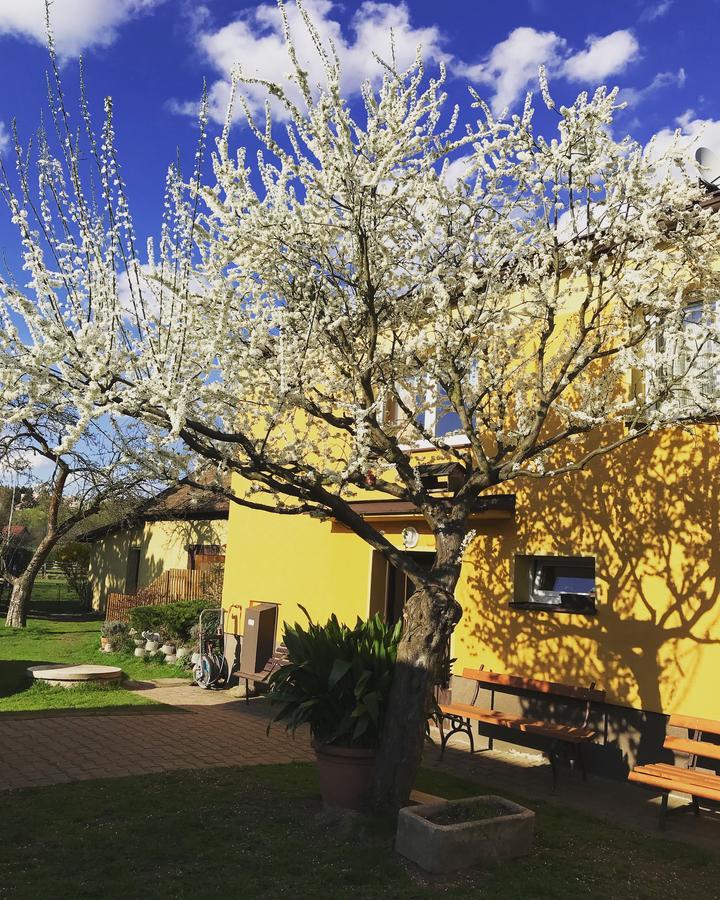 Apartmán Novákovi Náchod Exterior foto