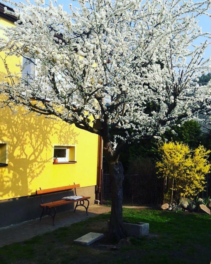 Apartmán Novákovi Náchod Exterior foto